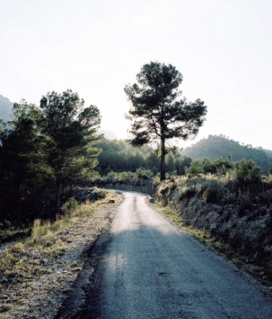 Camino